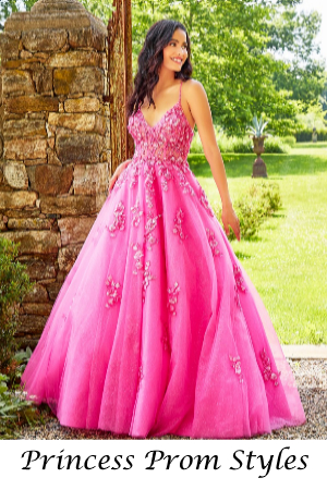 Princess a line prom dress